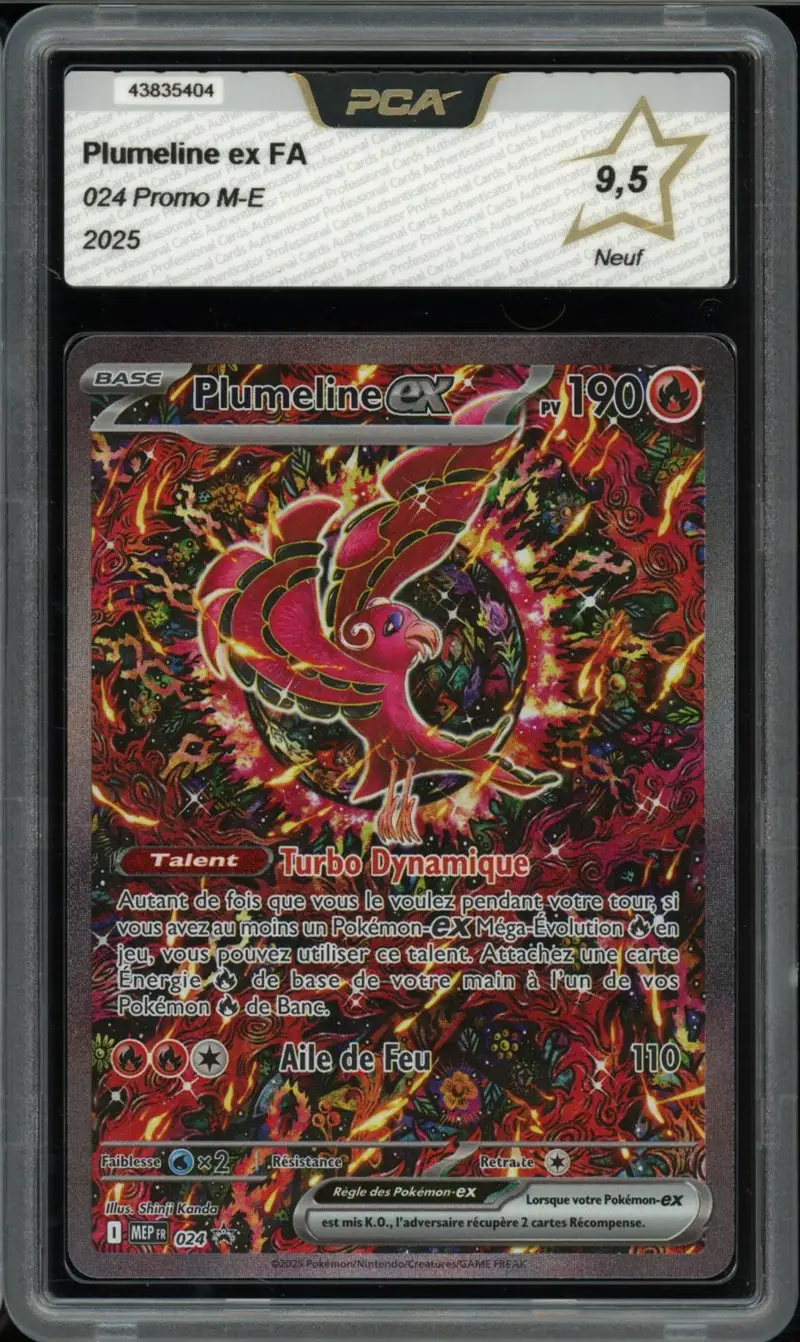 PCA 9.5 Plumeline Ex