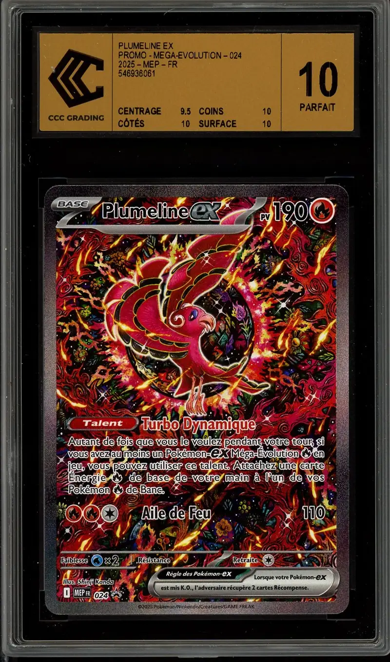 CCC 10 Plumeline Ex