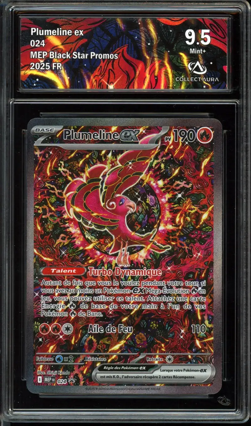 CA 9.5 Plumeline Ex