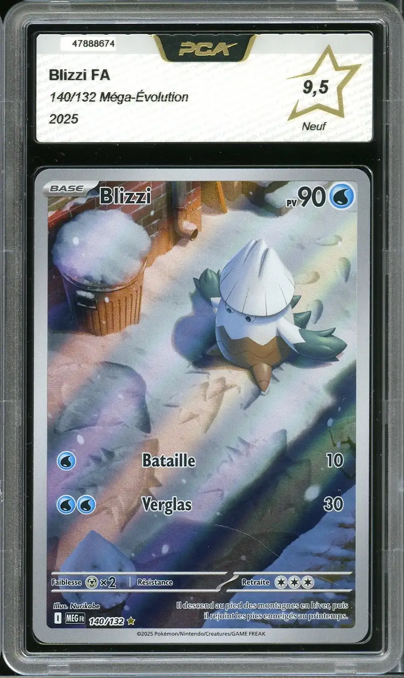 PCA 9.5 Blizzi