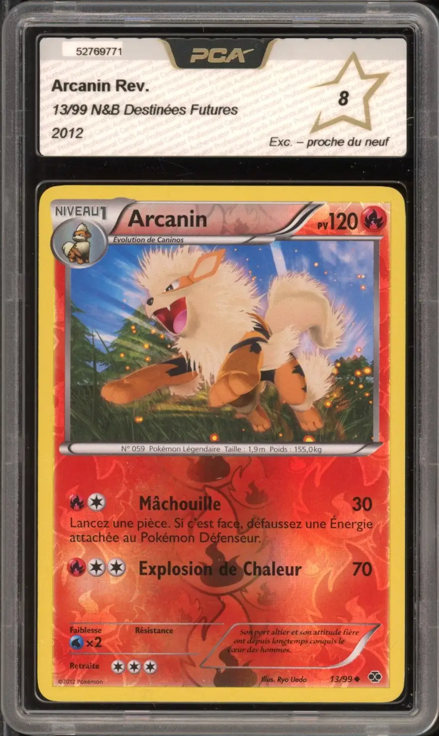 PCA 8 Arcanin Reverse