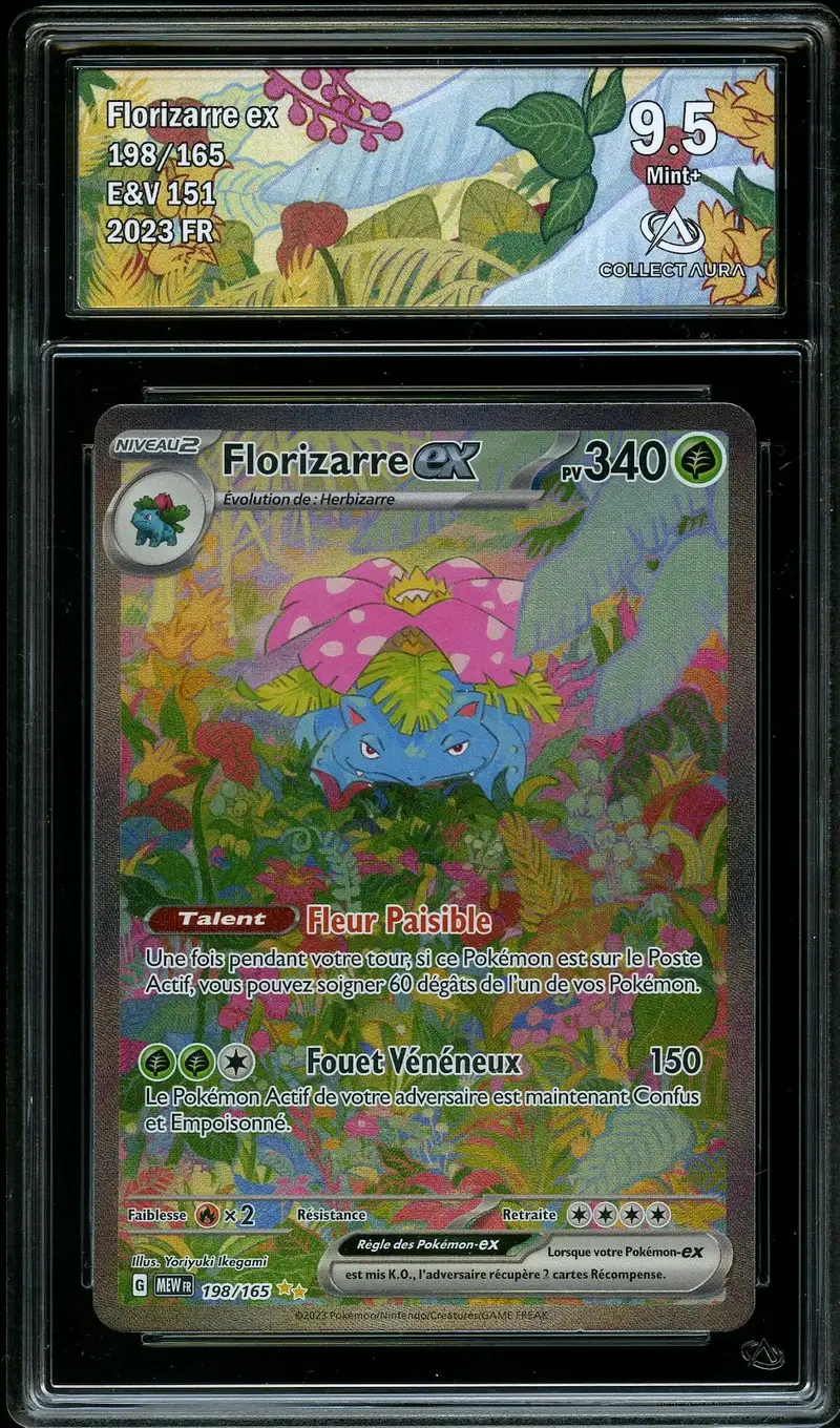 CA 9.5 Florizarre Ex