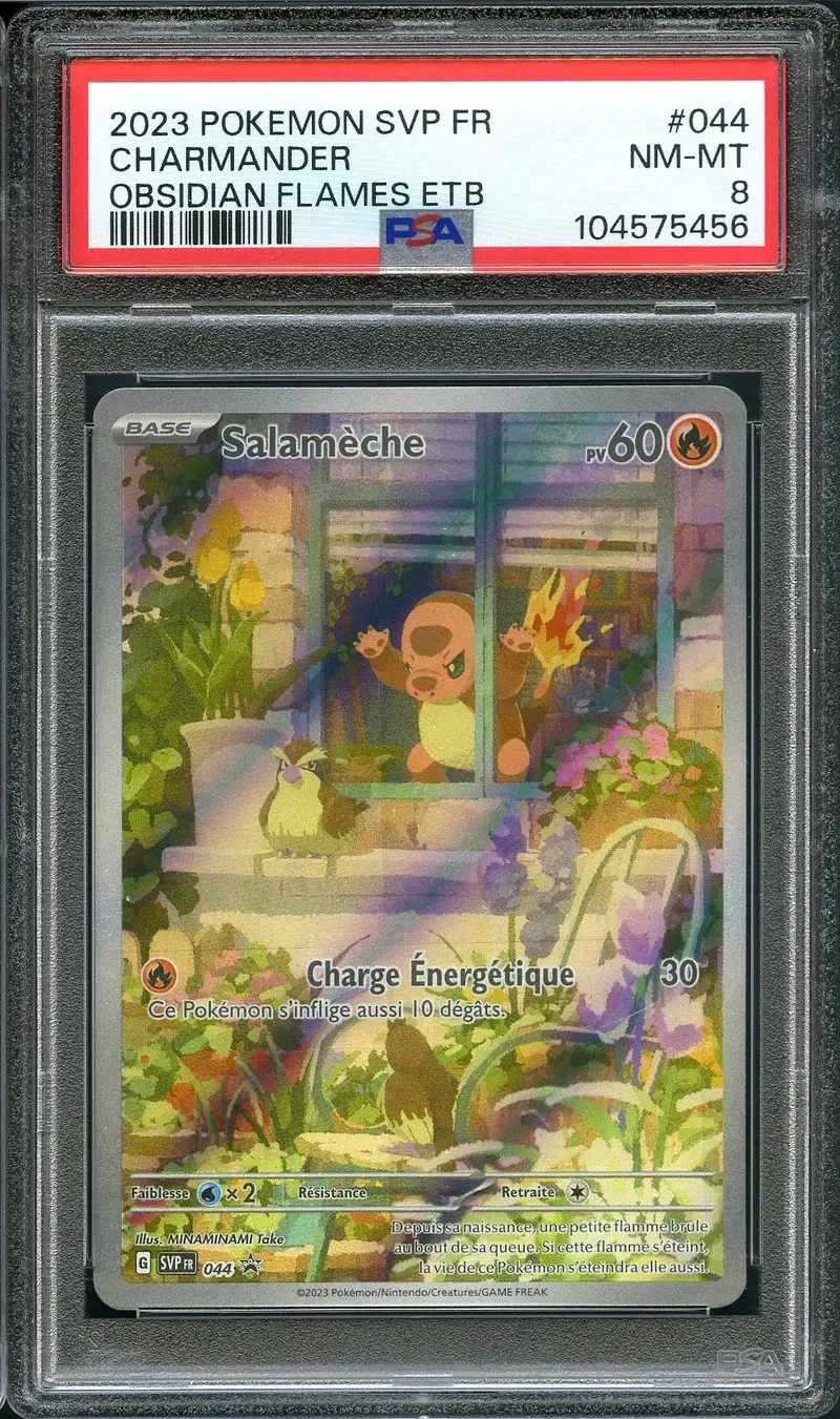 PSA 8 Salamèche