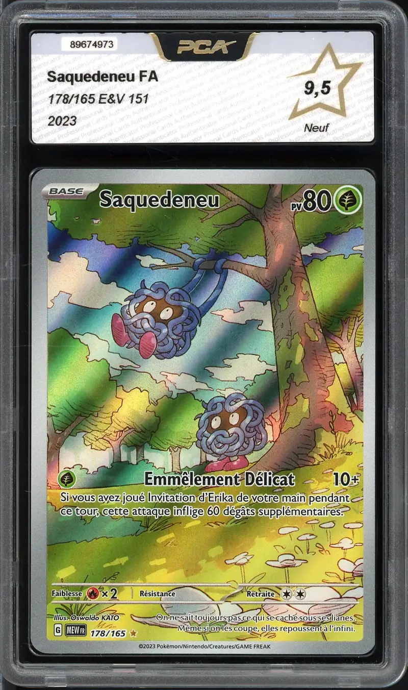 PCA 9.5 Saquedeneu