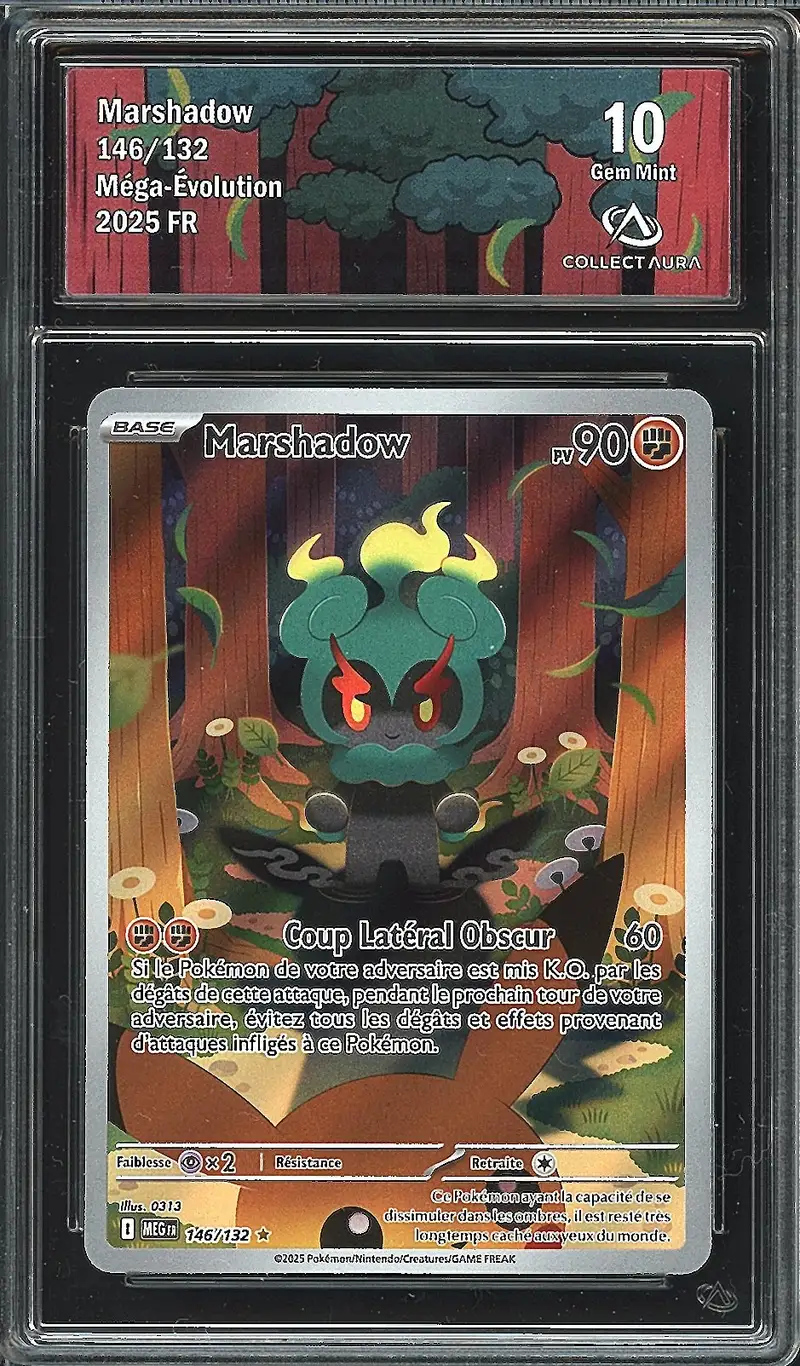 CA 10 Marshadow