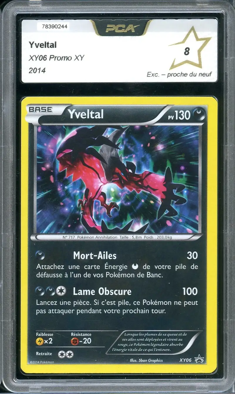 PCA 8 Yveltal
