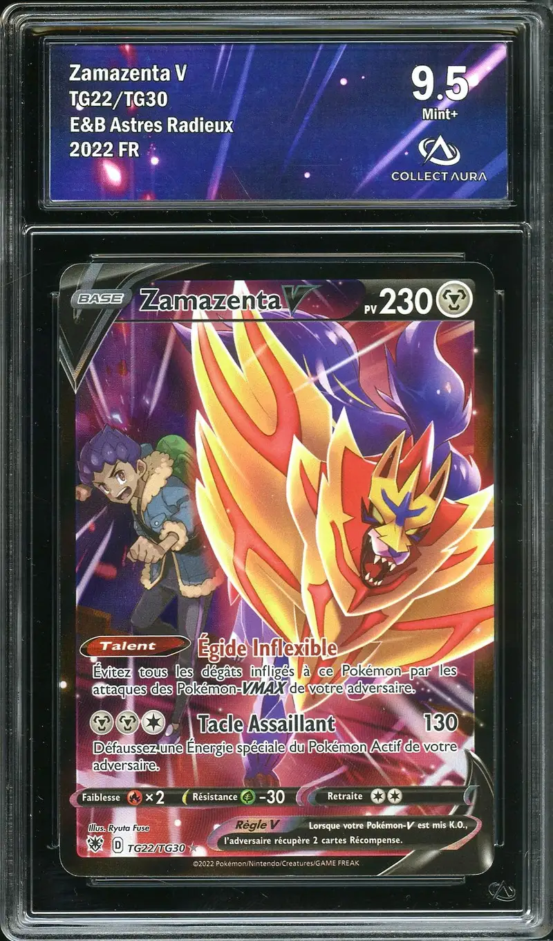 CA 9.5 Zamazenta V