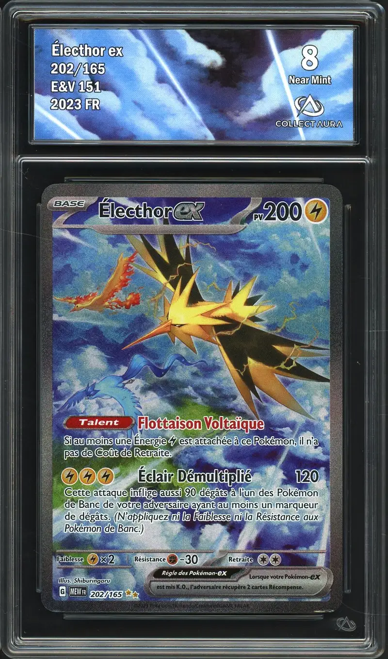 CA 8 Electhor Ex