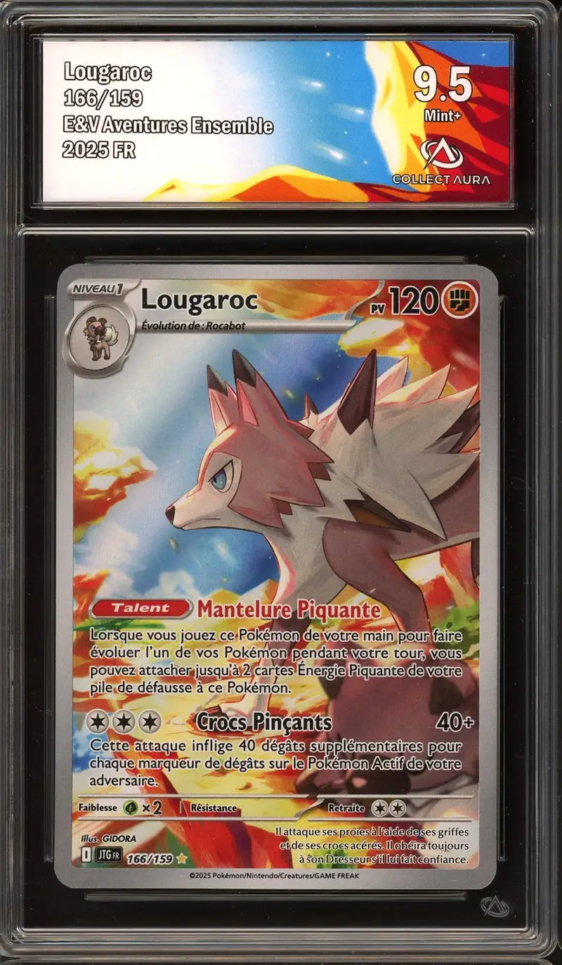 CA 9.5 Lougaroc