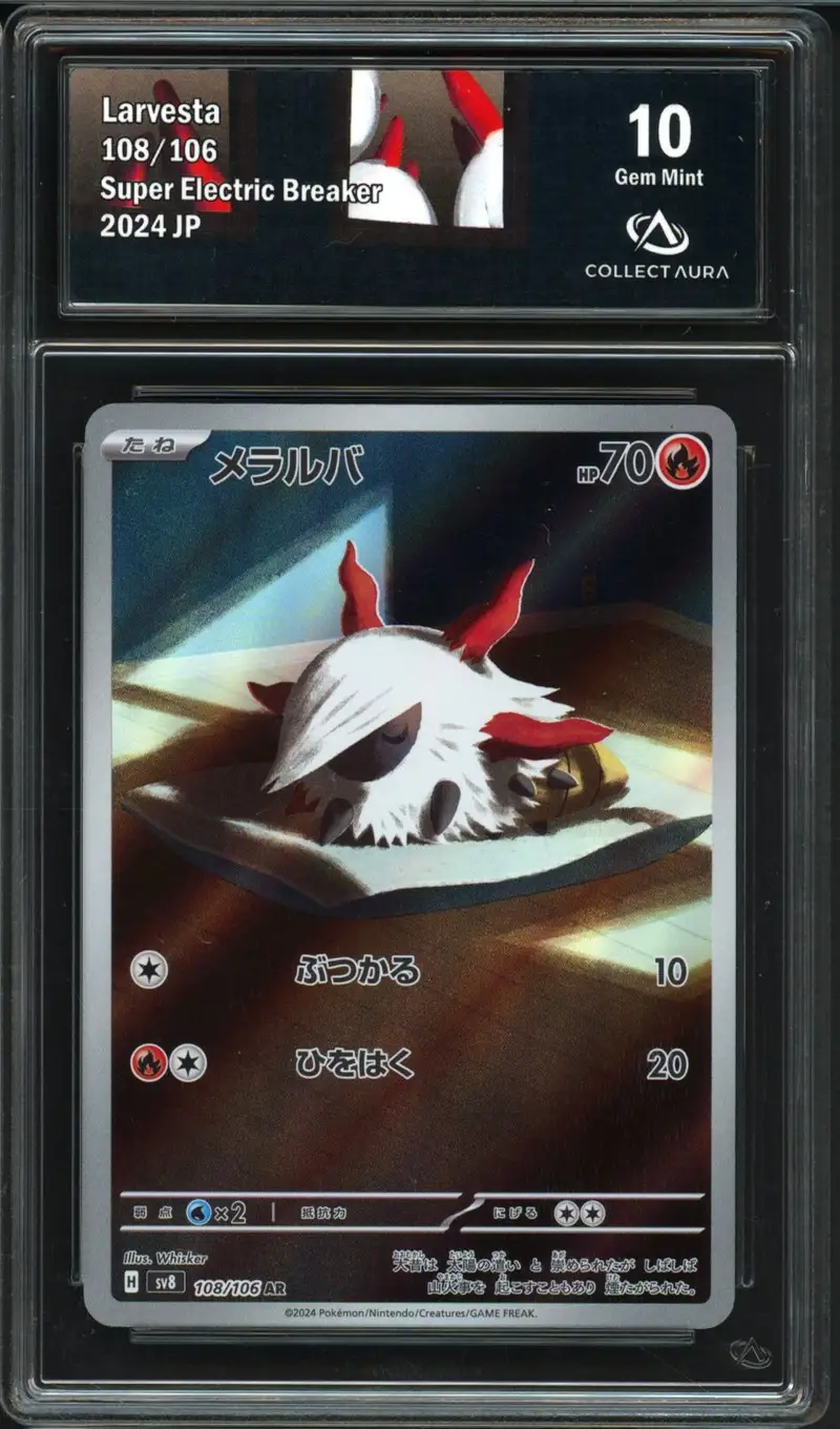 CA 10 Larvesta