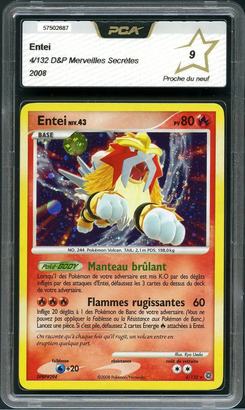 PCA 9 Entei Holo