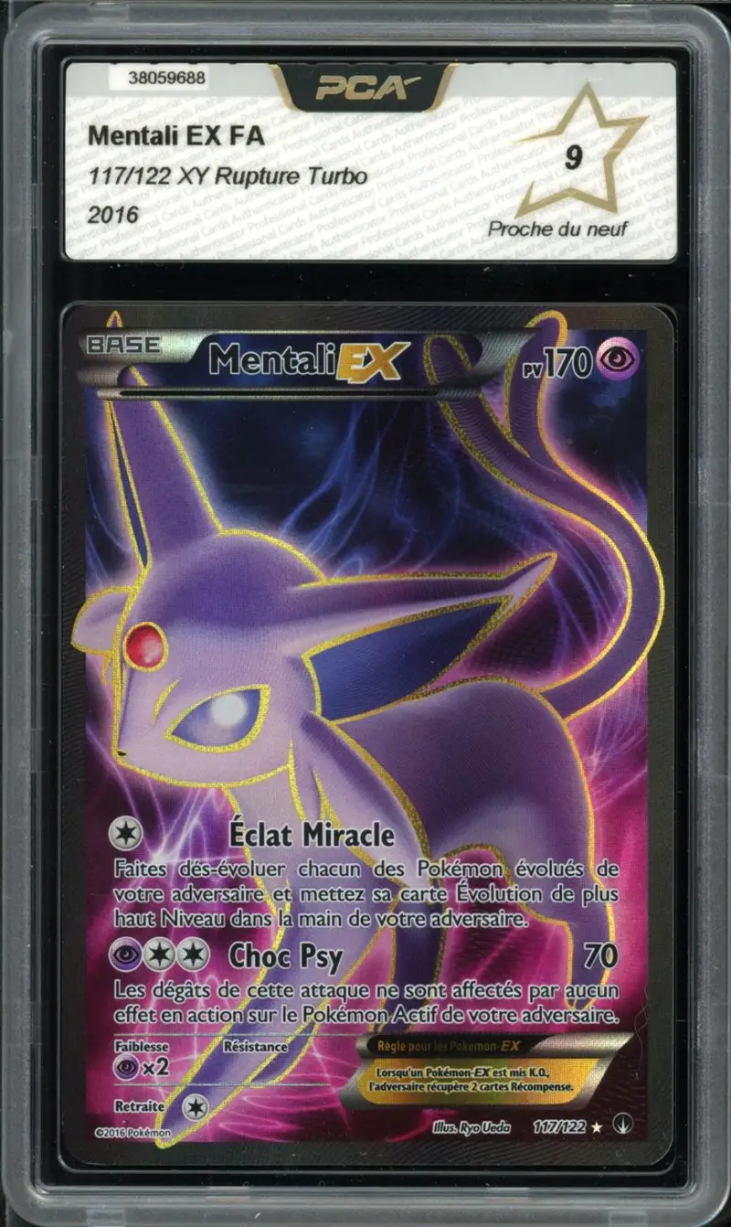 PCA 9 Mentali Ex