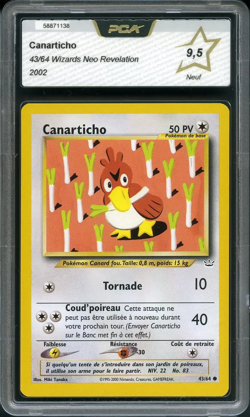 PCA 9.5 Canarticho