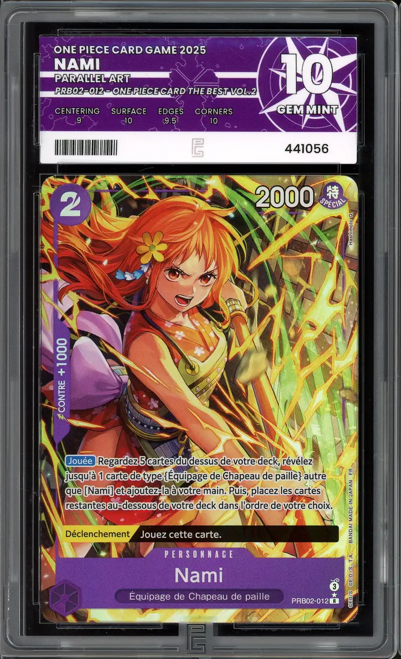 PG 10 Nami