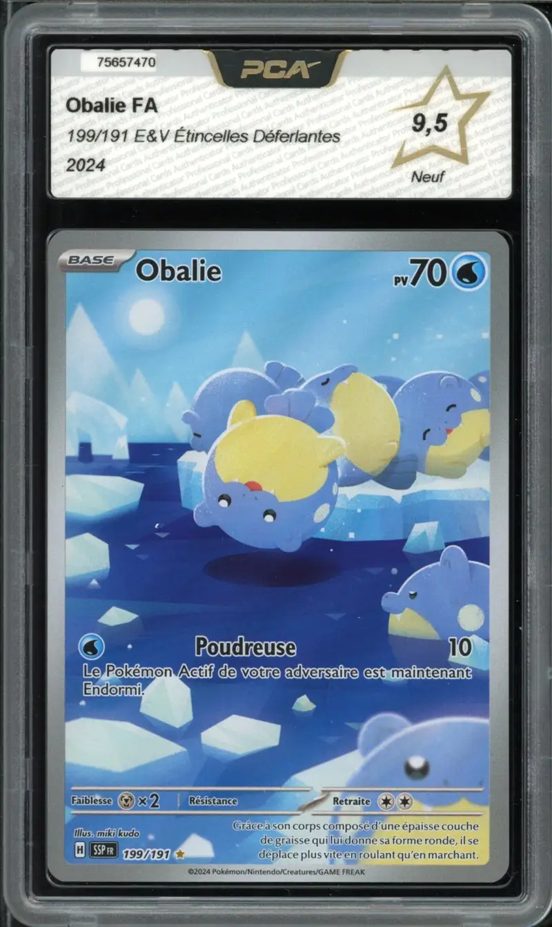PCA 9.5 Obalie