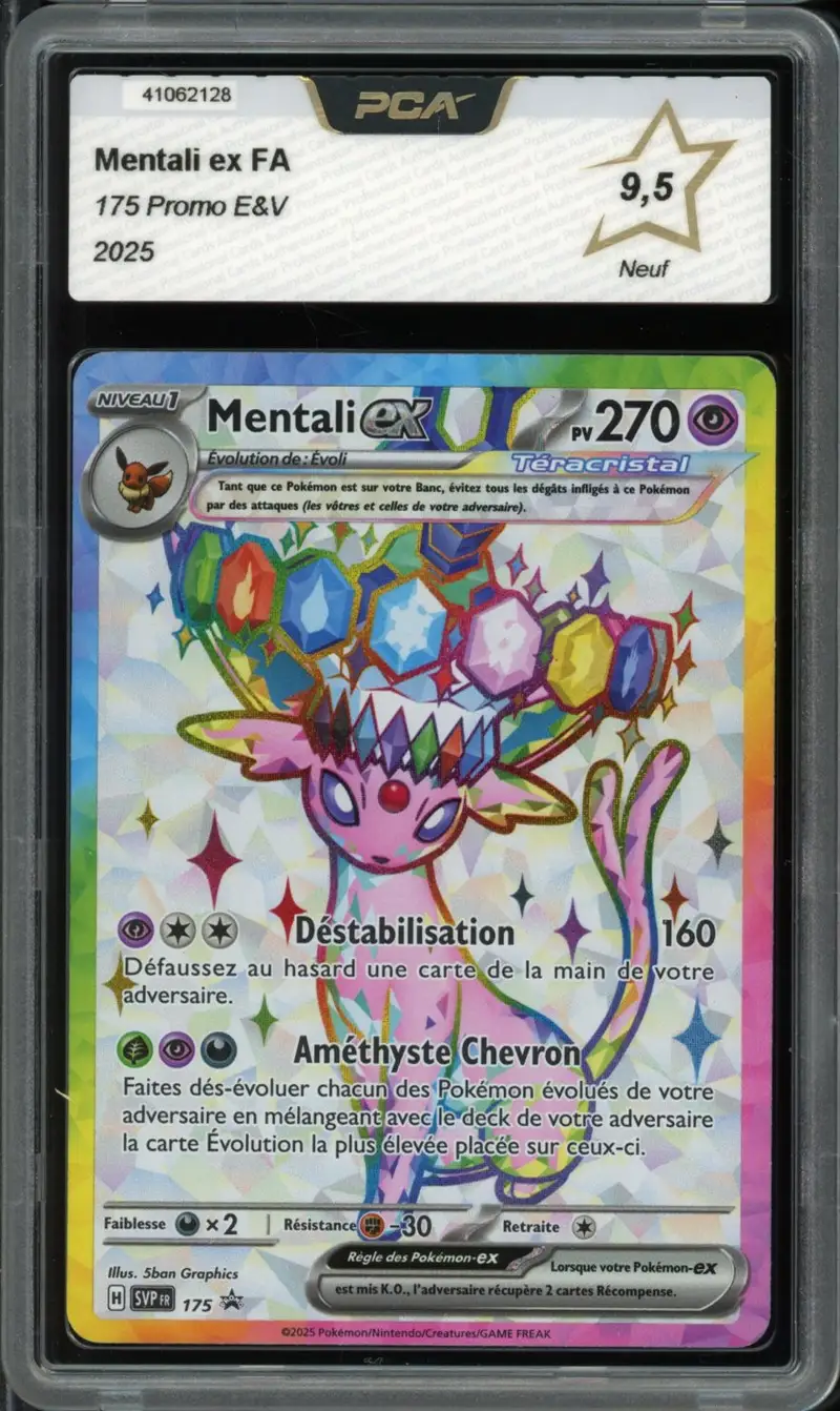 PCA 9.5 Mentali Ex