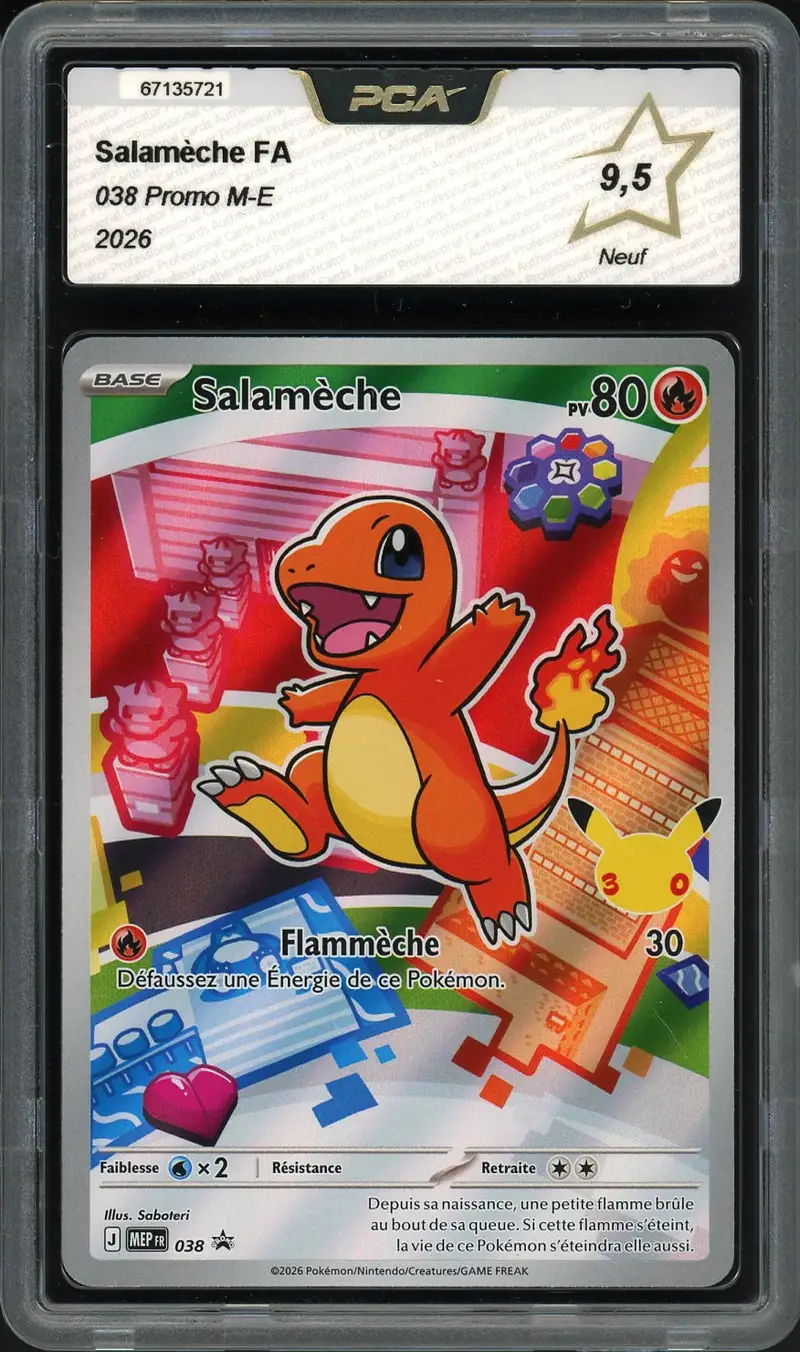PCA 9.5 Salamèche