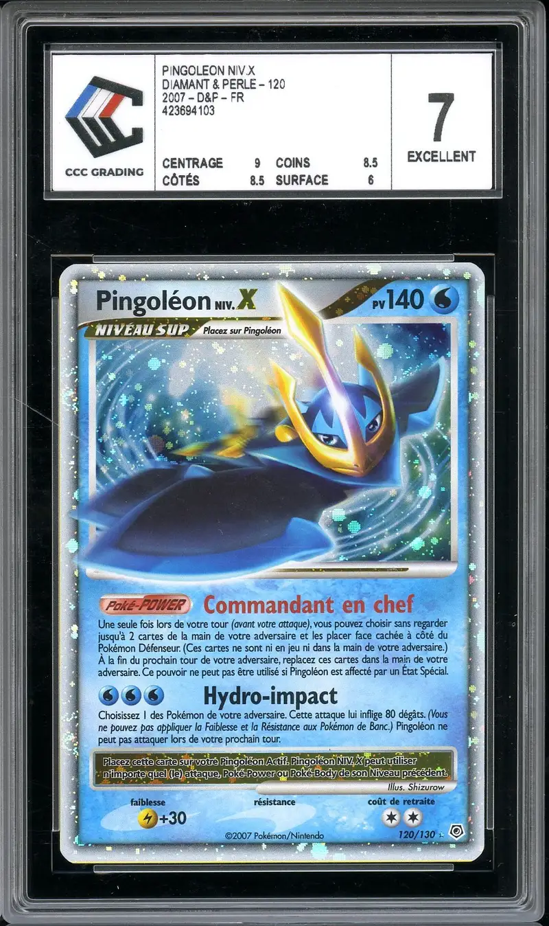 CCC 7 Pingoléon Niv. X