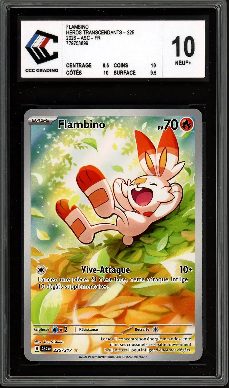 CCC 10 Flambino