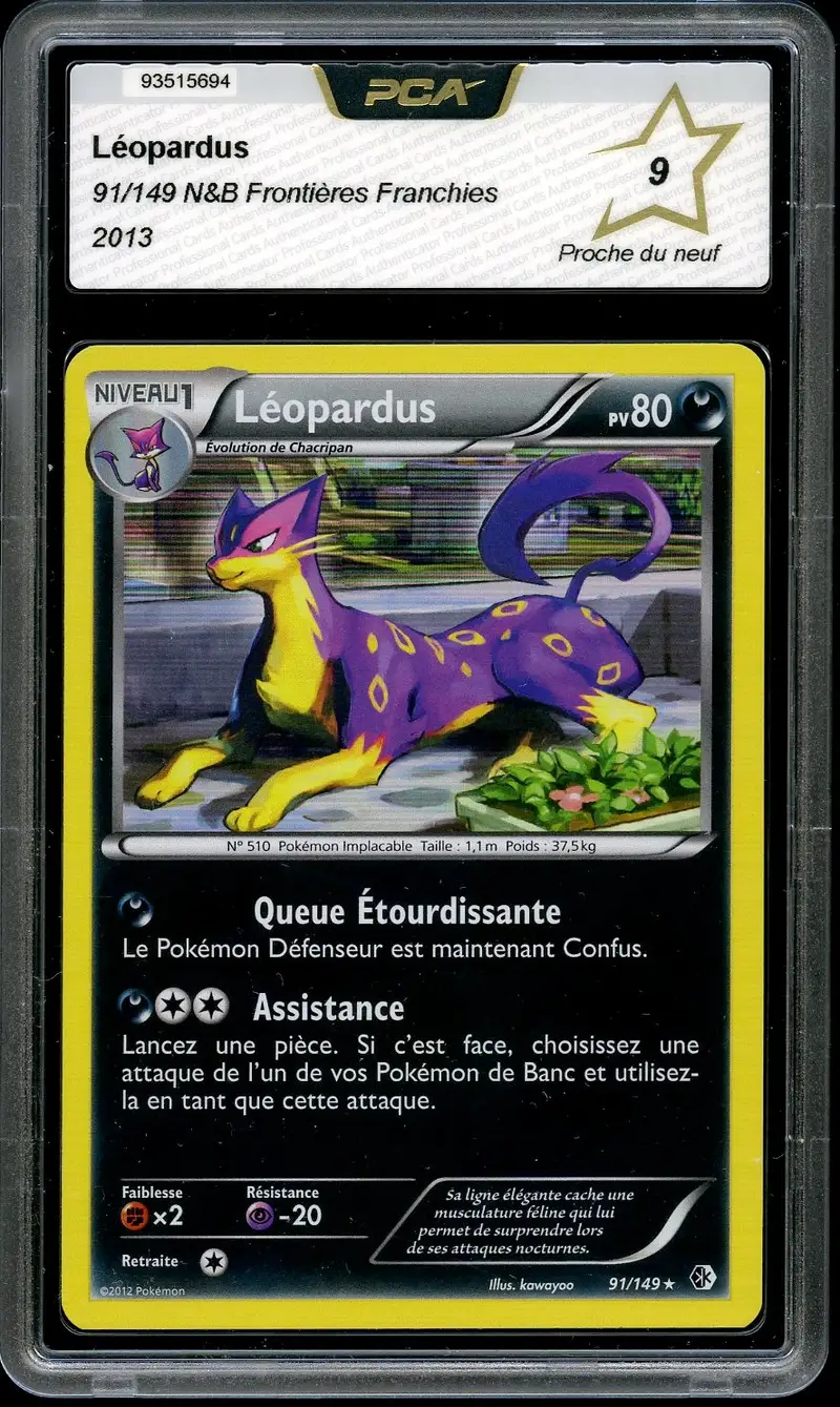 PCA 9 Léopardus Holo