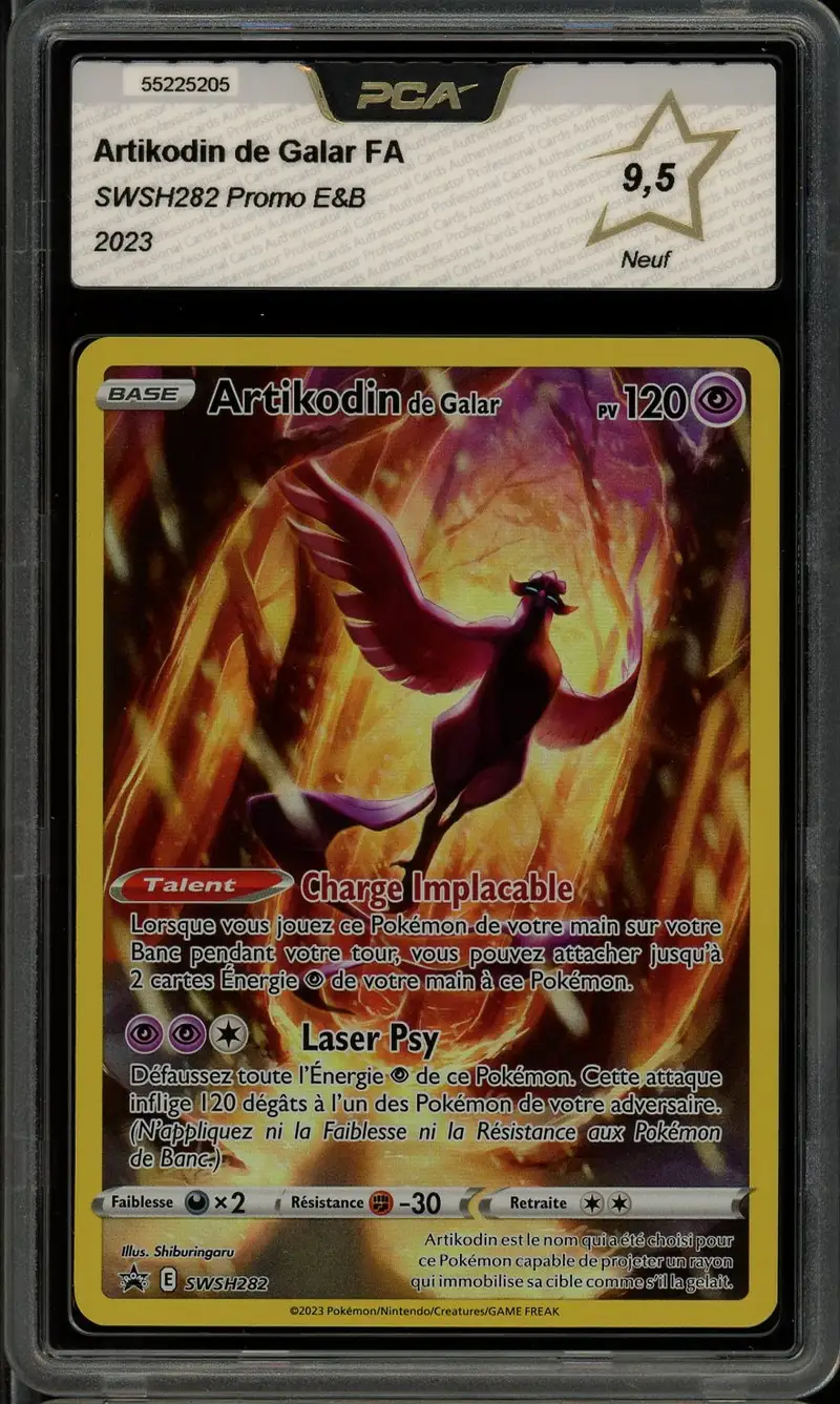 PCA 9.5 Artikodin de Galar