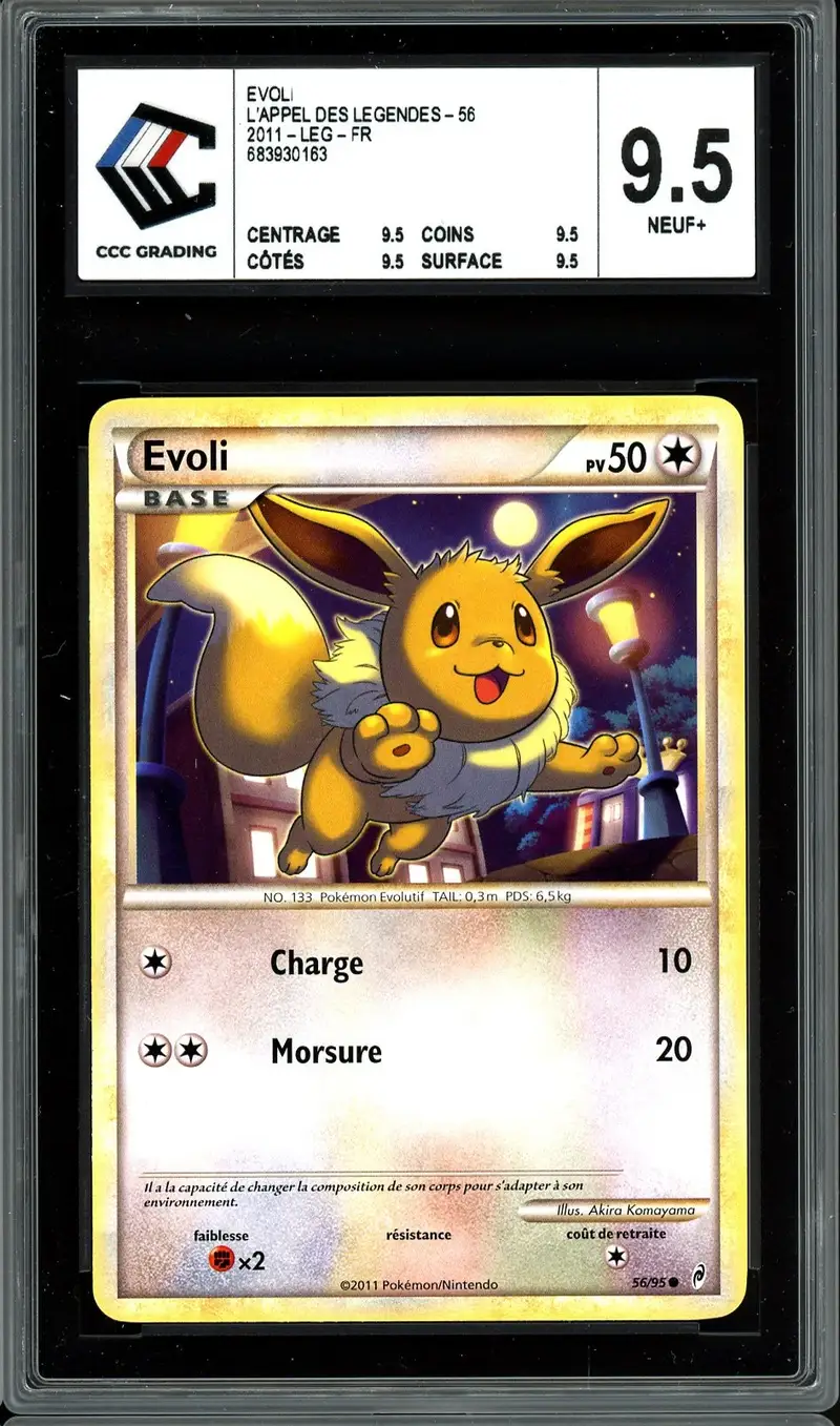 CCC 9.5 Evoli