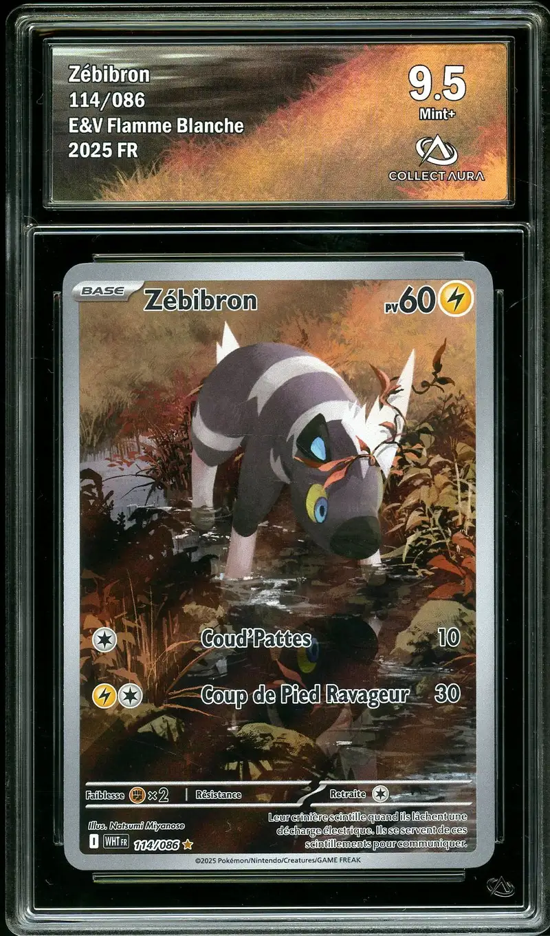 CA 9.5 Zébibron