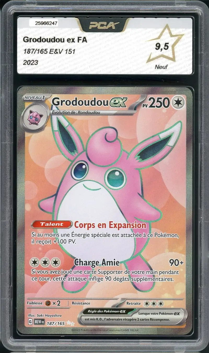PCA 9.5 Grodoudou Ex