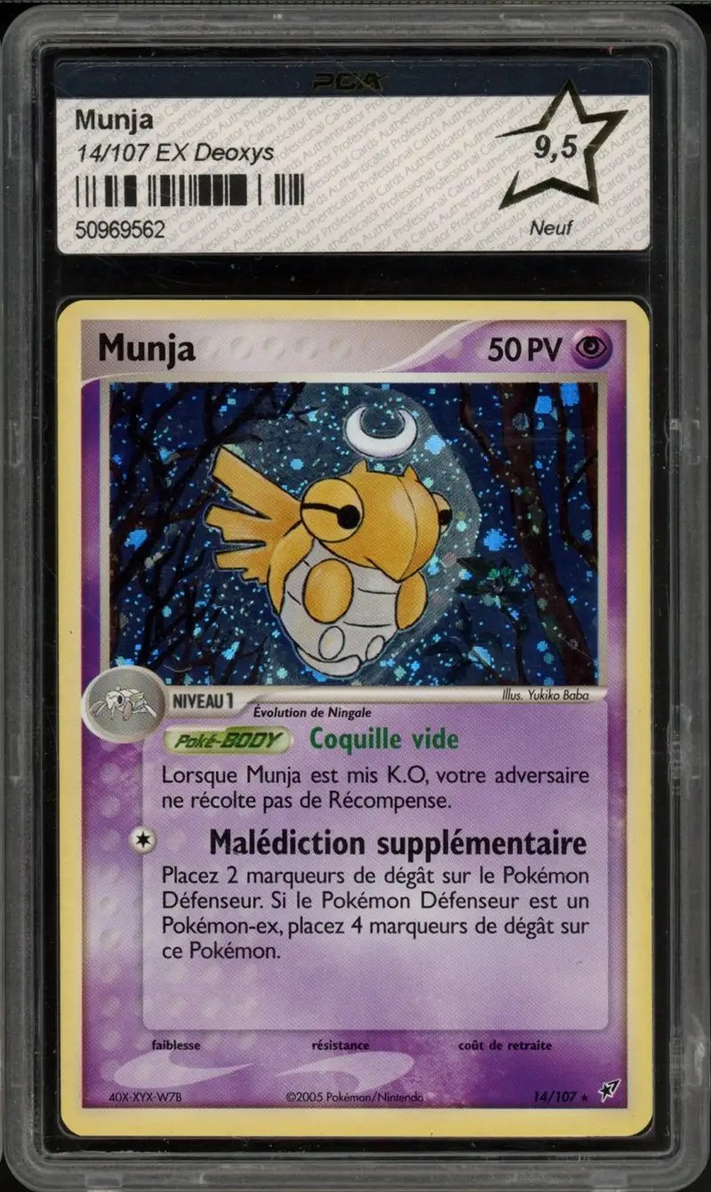 PCA 9.5 Munja Holo