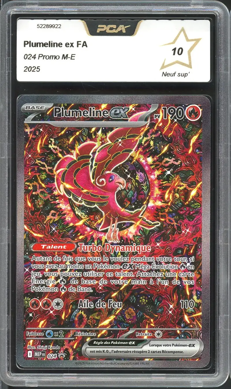 PCA 10 Plumeline Ex
