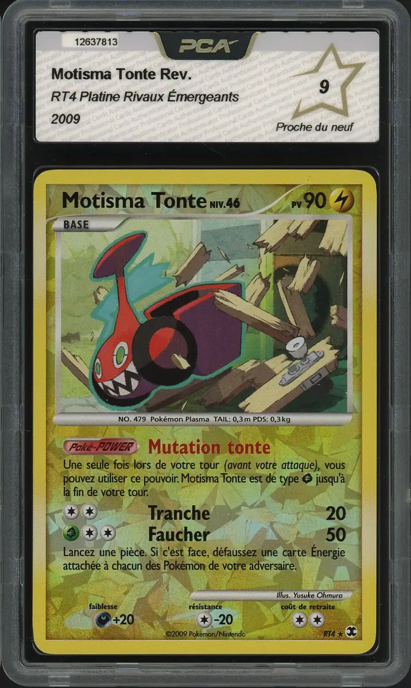 PCA 9 Motisma Tonte Reverse