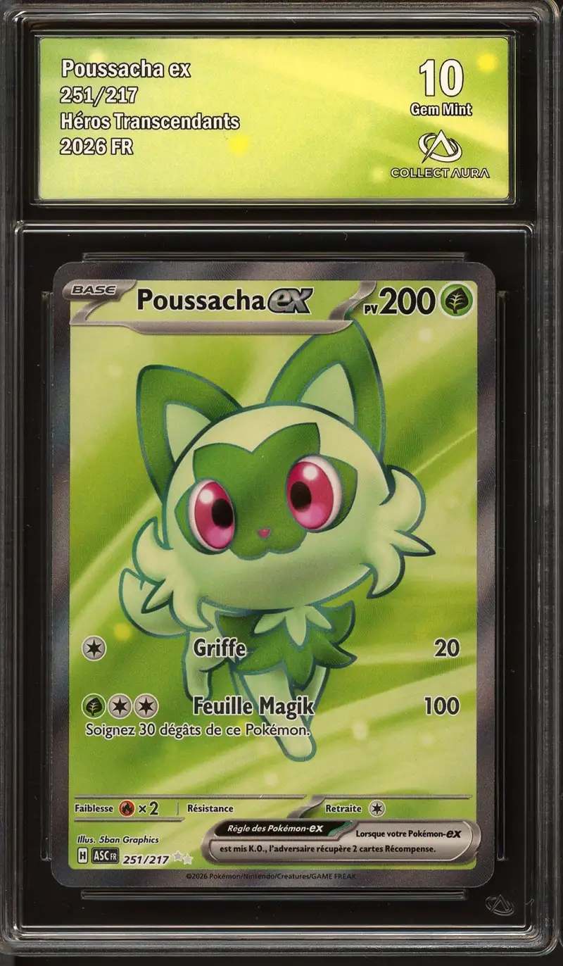 CA 10 Poussacha Ex
