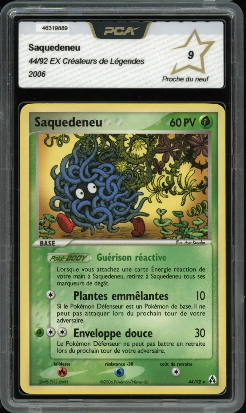 PCA 9 Saquedeneu