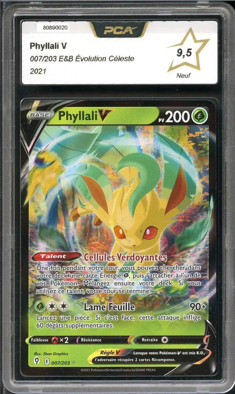 PCA 9.5 Phyllali V