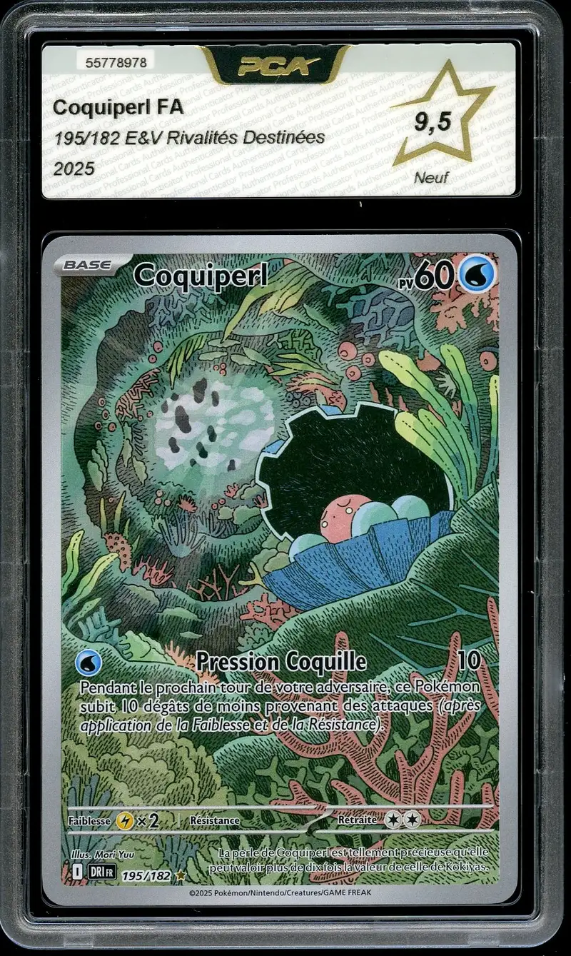 PCA 9.5 Coquiperl