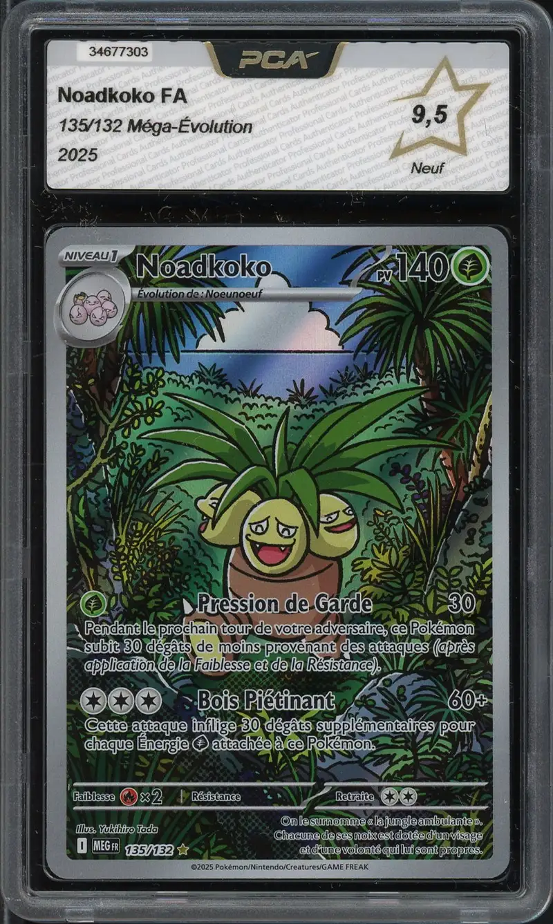 PCA 9.5 Noadkoko