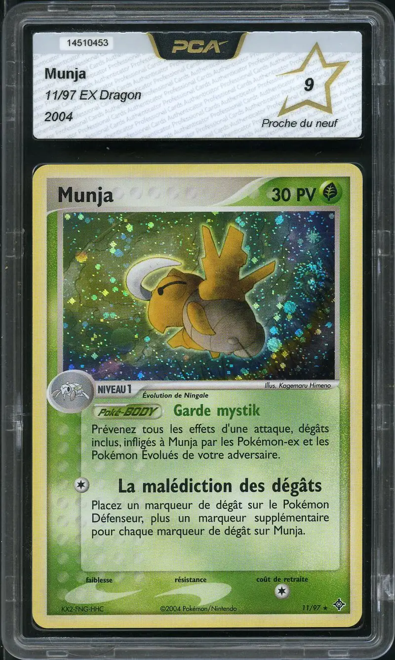 PCA 9 Munja Holo