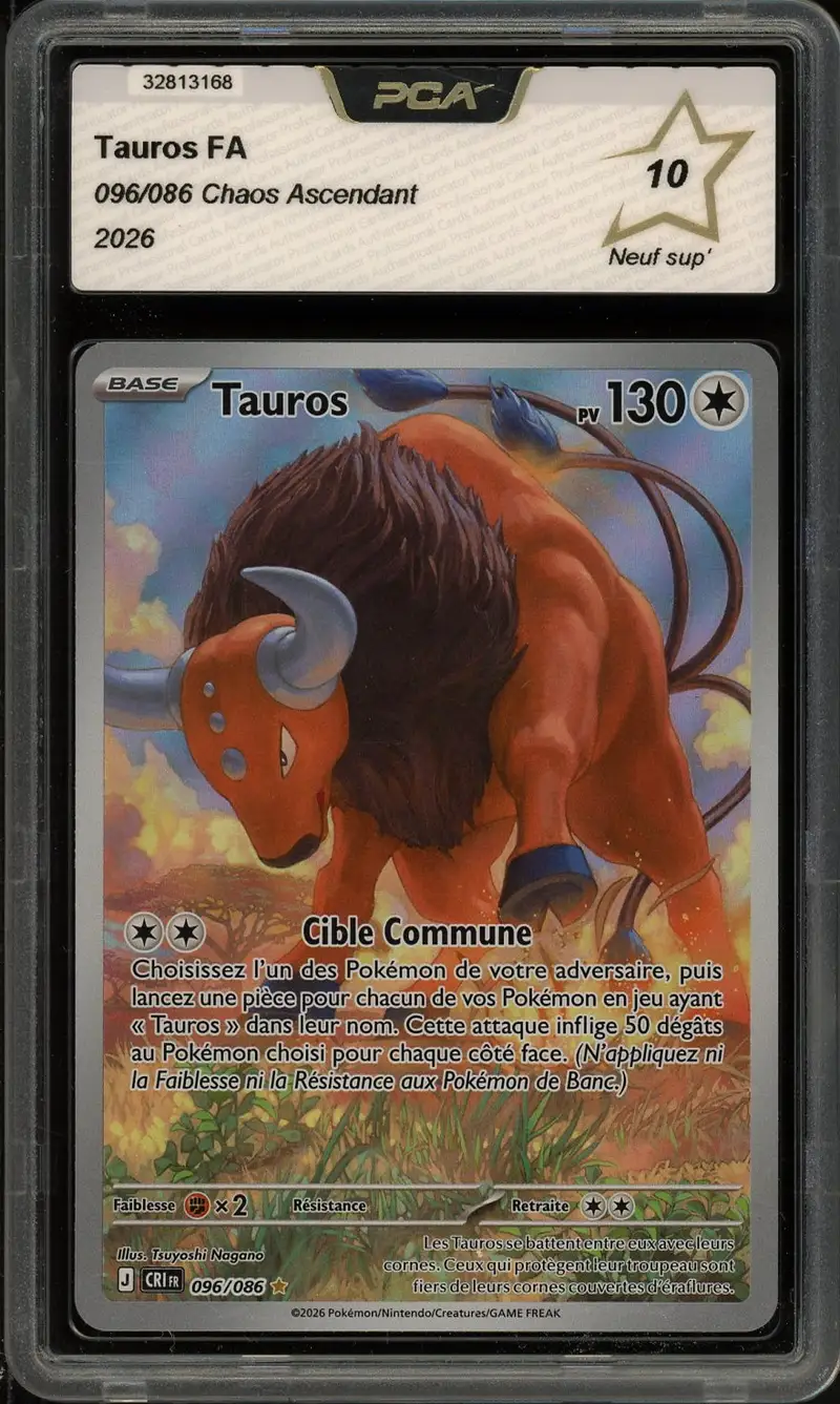 PCA 10 Tauros