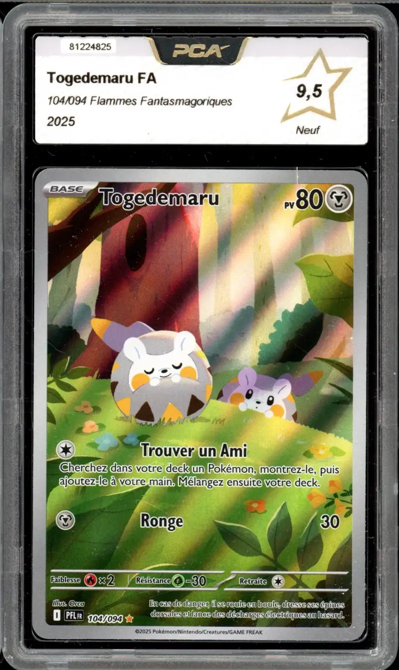 PCA 9.5 Togedemaru