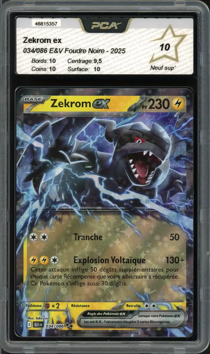 PCA 10 Zekrom Ex