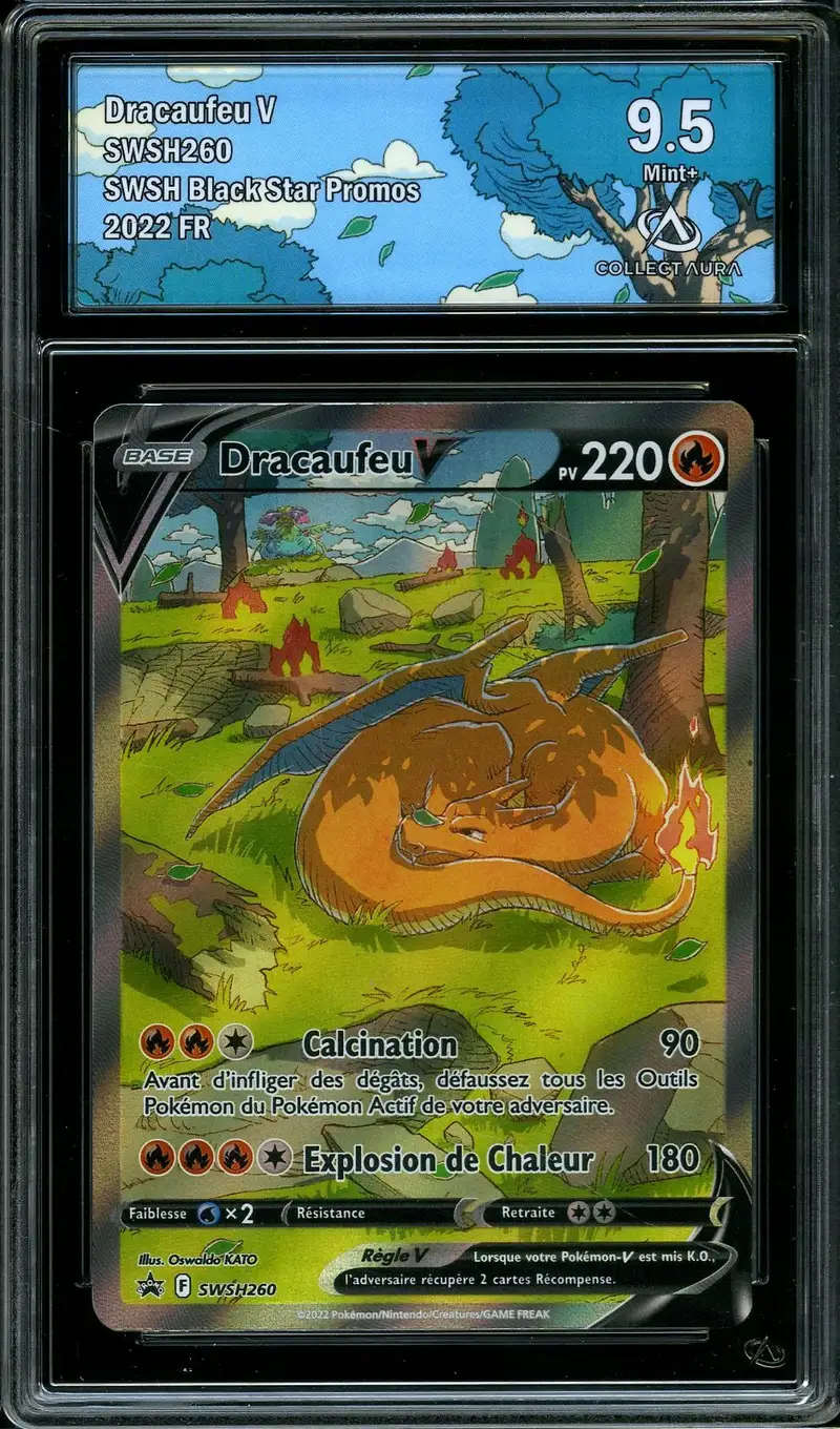 CA 9.5 Dracaufeu V