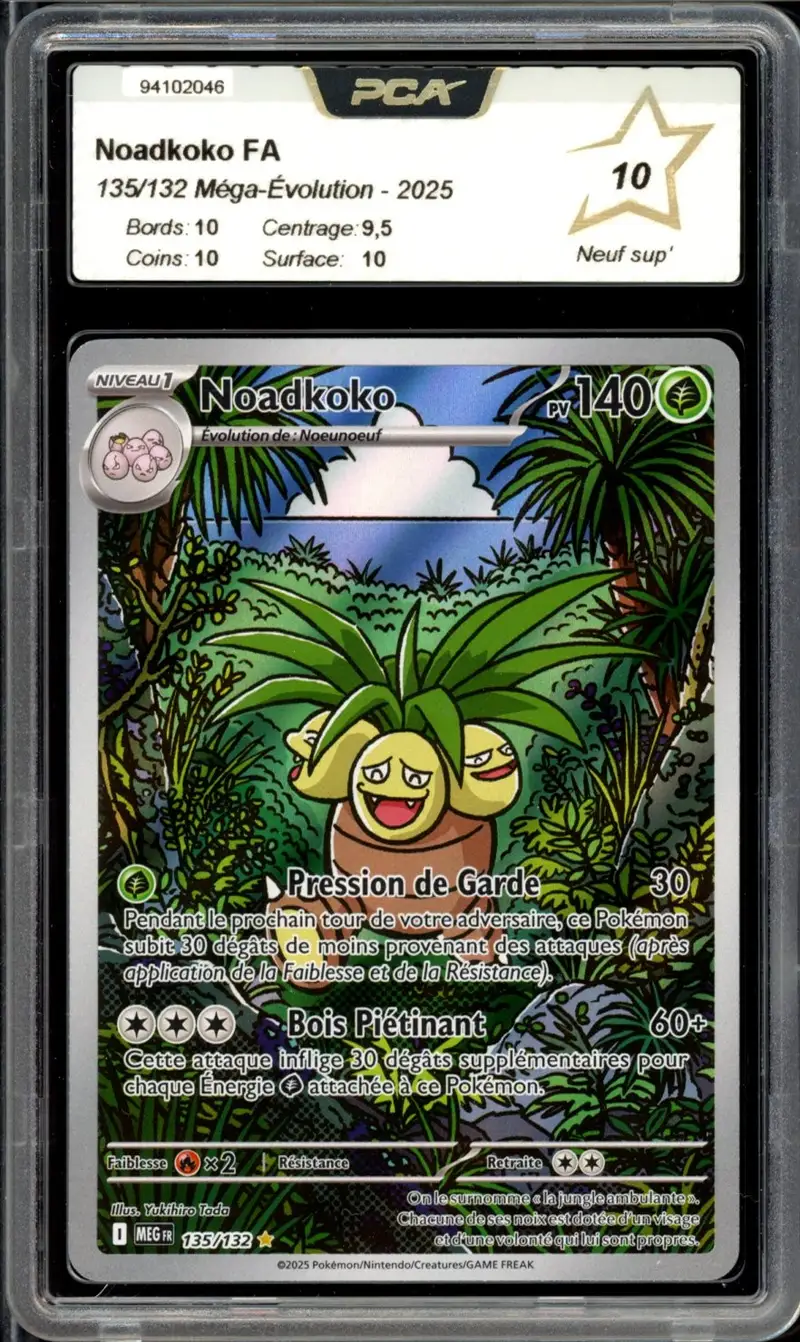 PCA 10 Noadkoko
