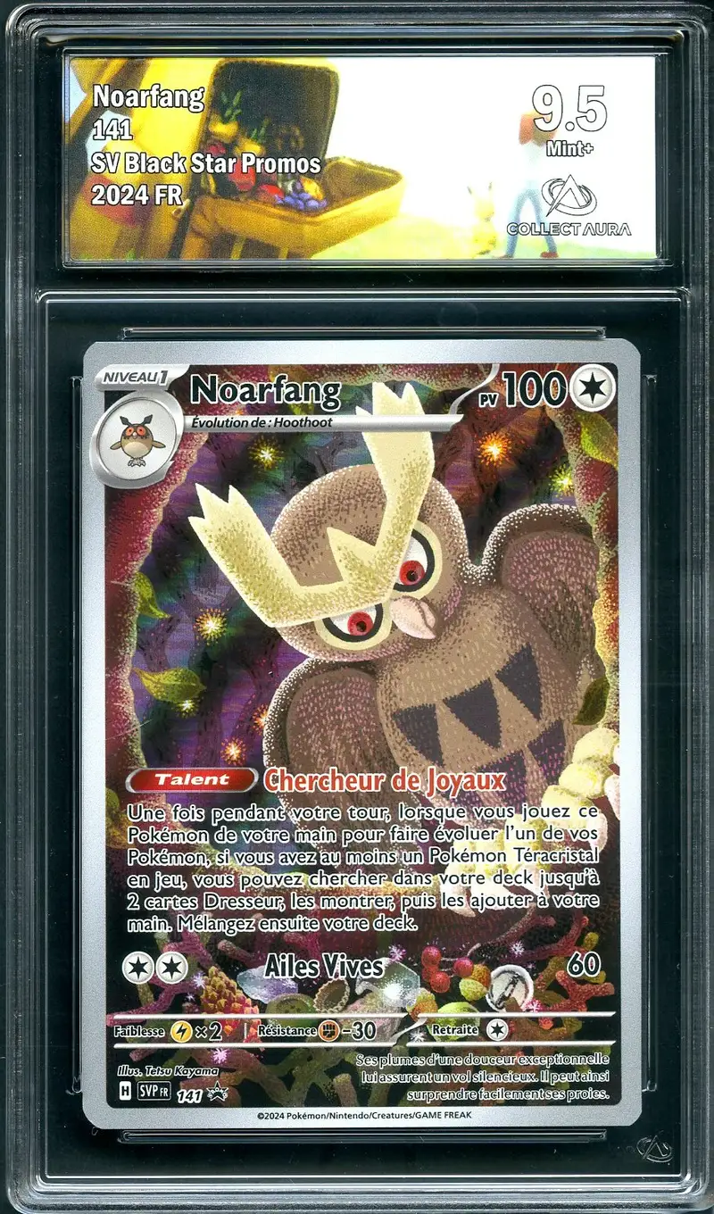CA 9.5 Noarfang