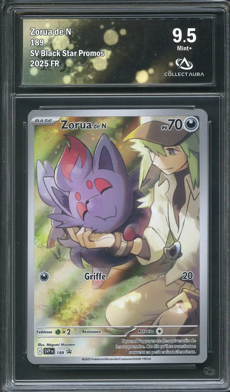 CA 9.5 Zorua de N