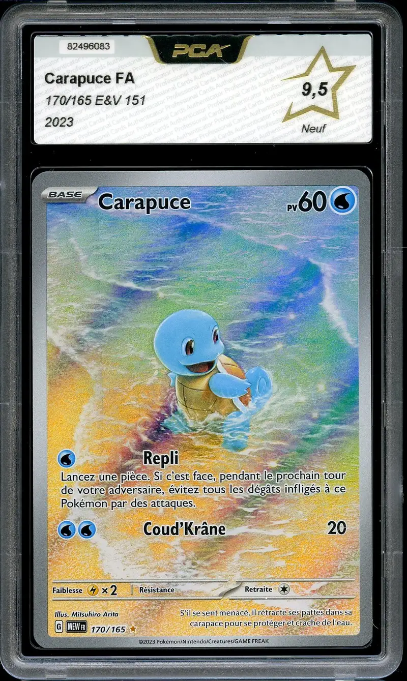 PCA 9.5 Carapuce