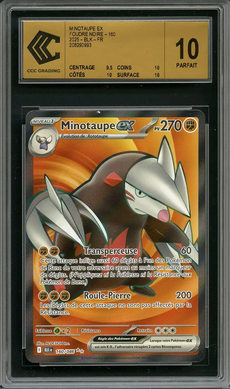 CCC 10 Minotaupe Ex