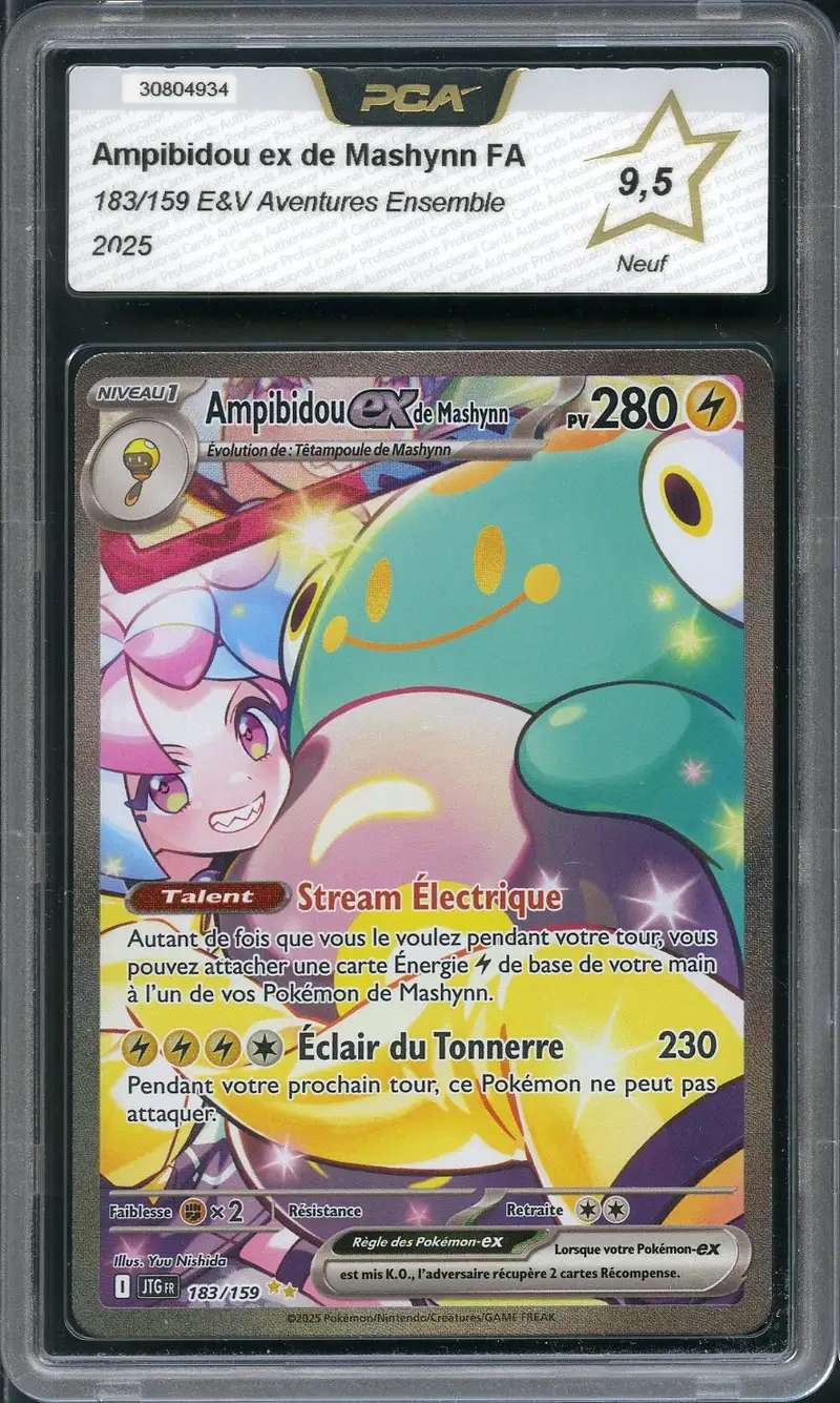 PCA 9.5 Ampibidou Ex de Mashynn