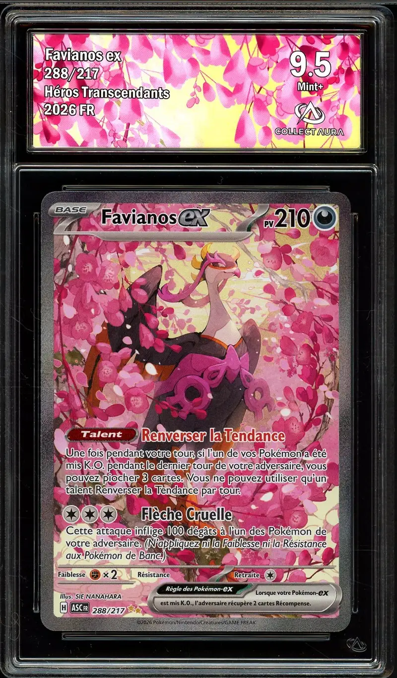 CA 9.5 Favianos Ex