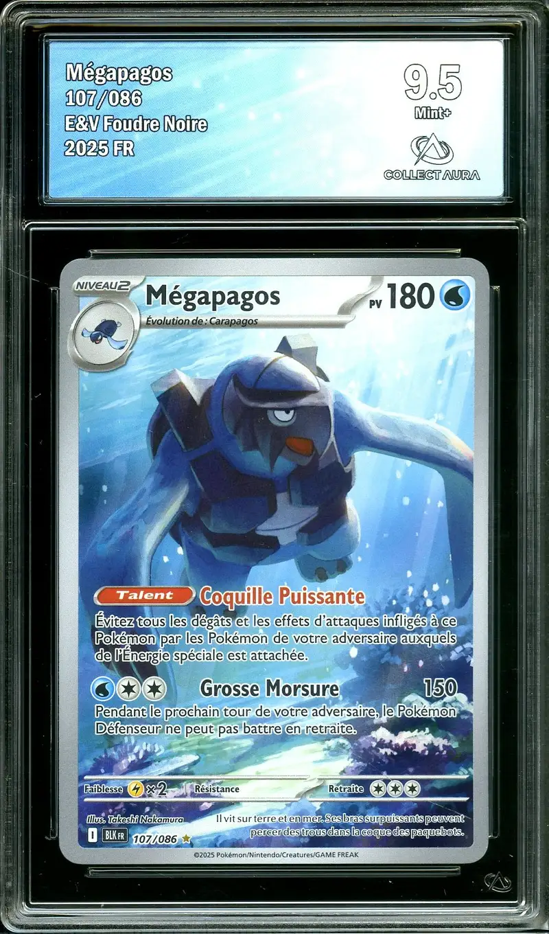 CA 9.5 Mégapagos