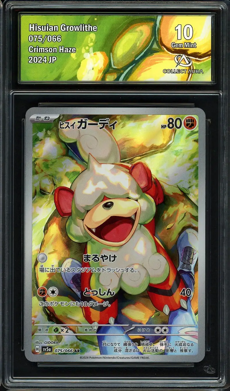 CA 10 Hisuan Growlithe